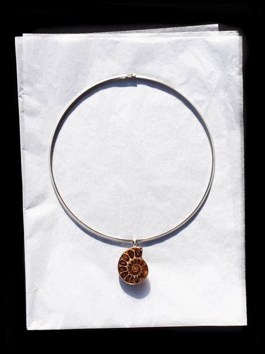 Ammonite Necklace